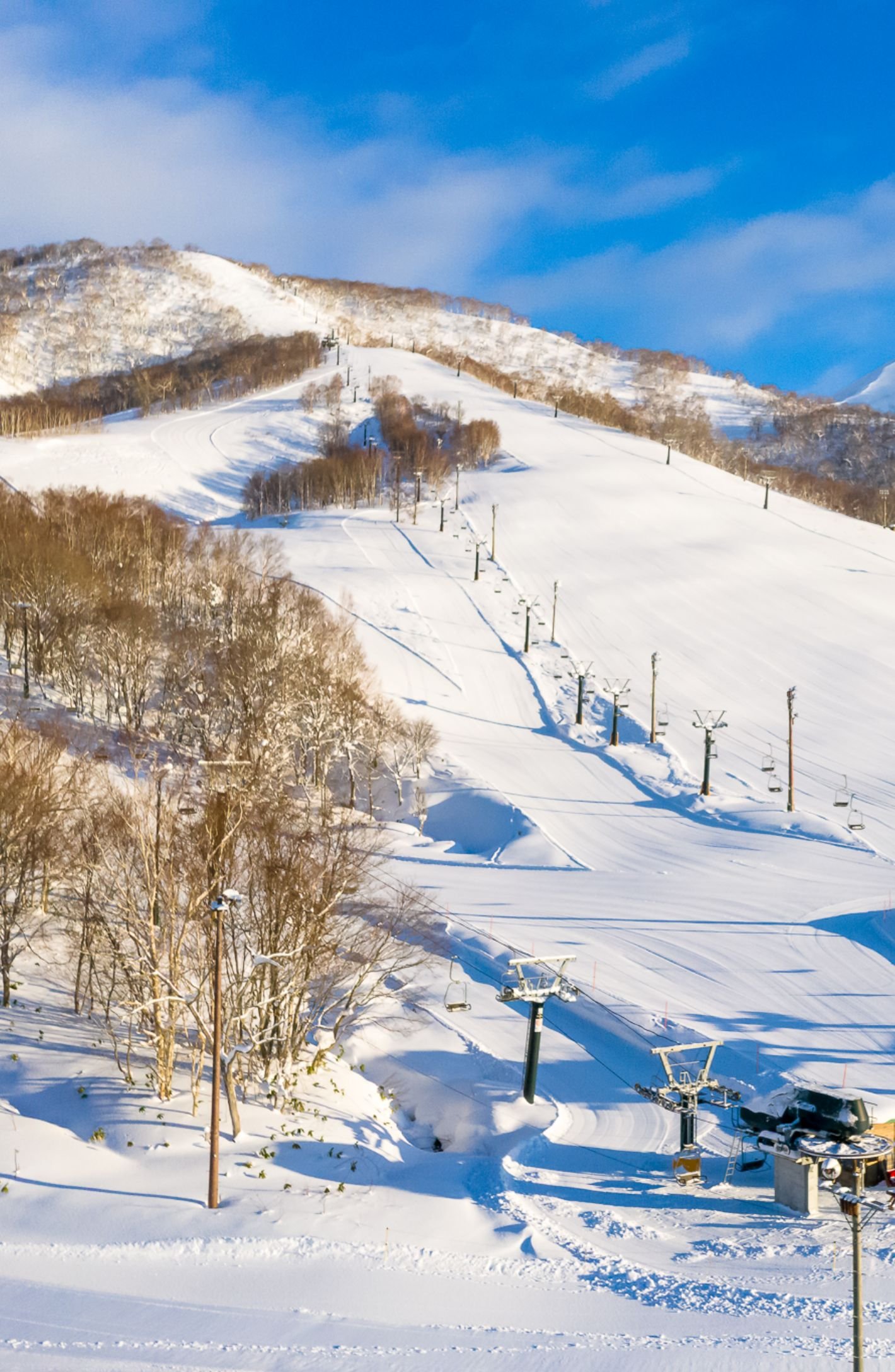 🏂 니세코 모이와 스키 리조트(ニセコモイワスキーリゾート) 이미지 1